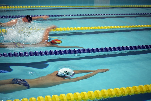 将被送往惠 将被送往惠