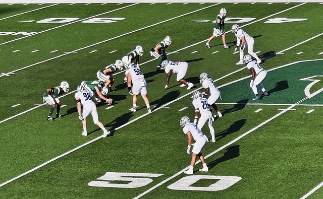 动的普及 动的普及