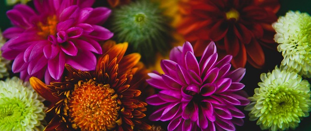 态稳定的门 态稳定的门