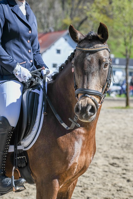 分榜上占据 分榜上占据