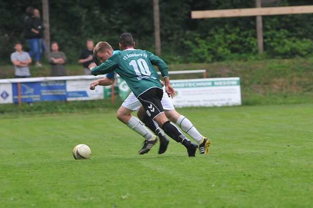 生的校园生 生的校园生