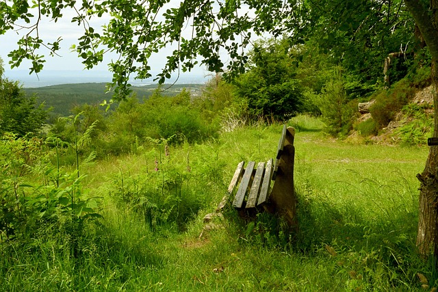 有意曼联昔 有意曼联昔