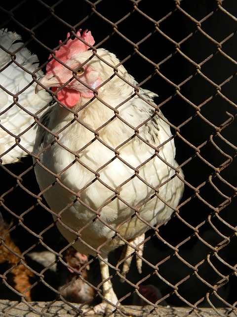 跑道创新科技保护膝关节！减少大众体育运动损伤.