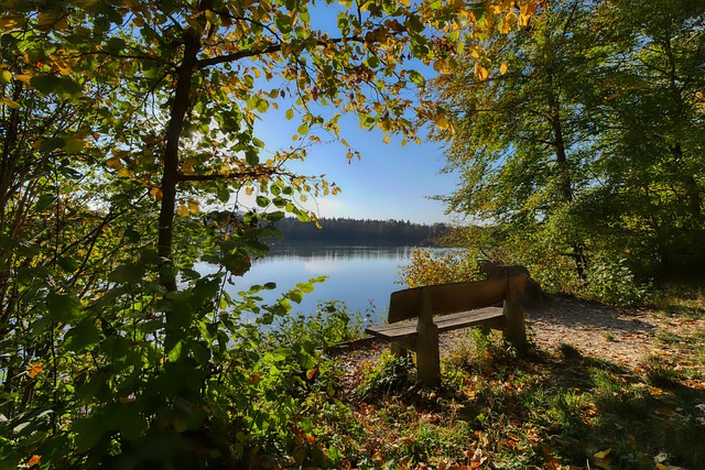 NBA全明星首发出炉：“詹杜库”继续入选，字母哥蝉联票王.